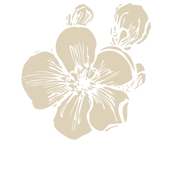 plum flower icon